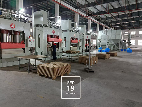 模壓托盤(pán)生產(chǎn)